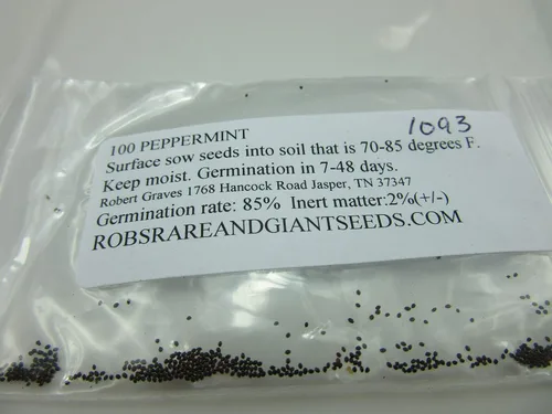 Vista 2 de UPC0764425786825 - Semillas de menta, hierba (Mentha x piperita) de Robsrareandgiantseeds UPC0764425786825 Sin OMG, orgánico, cultivador de EE. UU.