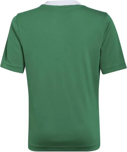 Vista 2 de adidas Camiseta Entrada 22 para Niños