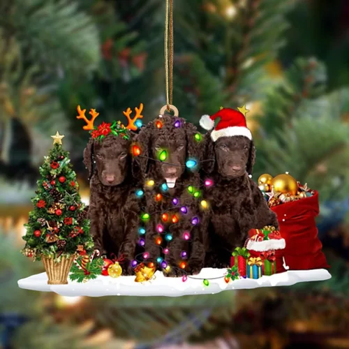 Vista 110 de Nazenti Adorno de Navidad personalizado con amigos Affenpinscher – Adorno de perro personalizado para amantes de las mascotas, acrílico plano