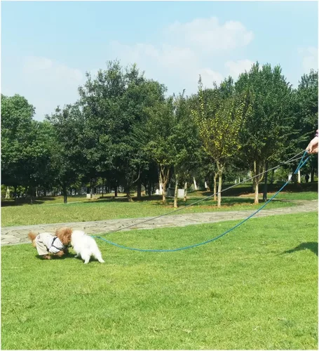 Vista 3 de Correa antideslizante de 8 pies para perro, correa de perro de cuerda de 1/3 pulgadas, correa pequeña ajustable sin tirones para cachorros, mascotas