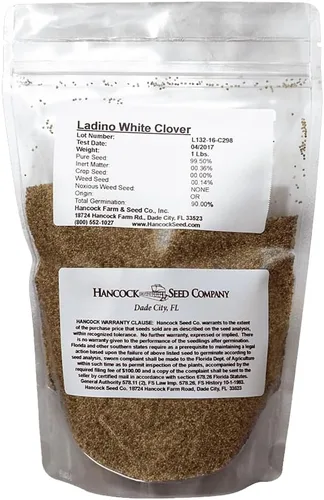 Vista 2 de Hancock Seed Co. - Semillas de trébol ladino, crudas, 5 libras