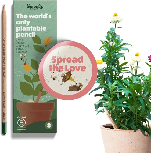 Vista 11 de Sprout Lápices de madera World Edición para profesores Lápices de madera plantables de grafito preafilados HB con semillas de flores, hierbas