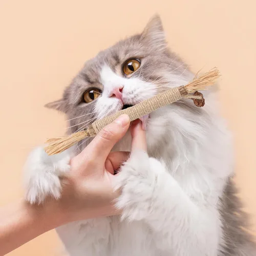 Vista 6 de Paquete de 6 palitos Silvervine para masticadores de gatos, palitos naturales para masticar gatos, juguetes interactivos para masticar, varitas