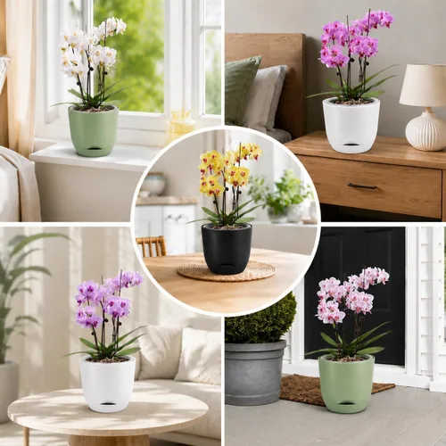 Vista 7 de QCQHDU 2 Pack 5.7 Inch Orchid Pots with Holes for Repotting, Double-Layer and Self Watering Orchid Pot with Good Air Circulation Verde