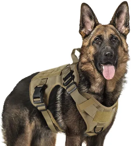 Vista 46 de rabbitgoo - Arnés táctico para perros pequeños, arnés resistente para mascotas con asa, chaleco de servicio sin tirones para razas pequeñas, chaleco