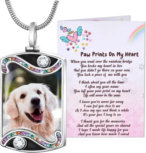 Vista 17 de Fanery Sue Collar personalizado para cenizas de mascotas para perros y gatos, foto y texto personalizados, regalo de condolencia, regalo