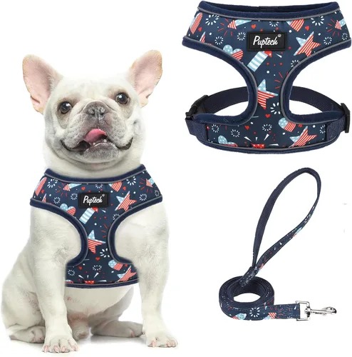 Vista 73 de PUPTECK Juego de arnés y correa de malla suave para perro, cachorro y gato, cómodo chaleco acolchado sin tirones, azul Pascua, S