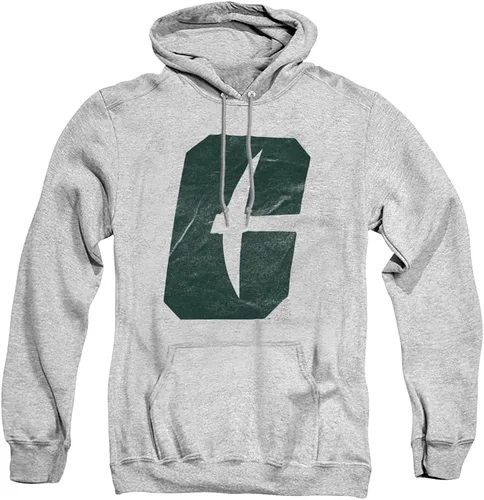 Vista 23 de Distressed College Primary Logo Adult Pullover Hoodie Collection 1 Universidad Estatal de Albany