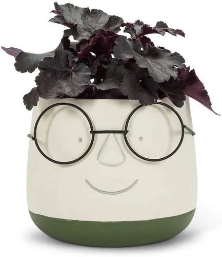 Vista 2 de Abbott Collection - Maceta grande con gafas Cara grande