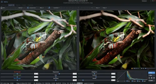 Vista 4 de Photo editing software compatible with Windows 11, 10 – view, edit, enhance and organize your photos – more than 200 features