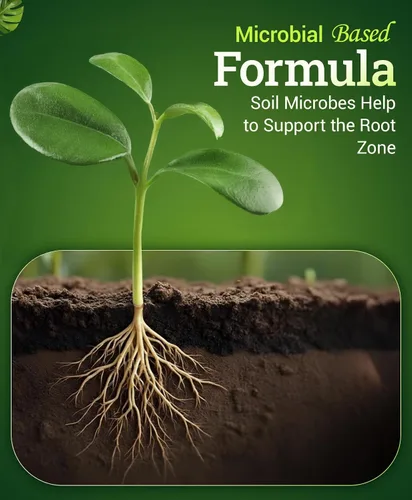 Vista 4 de Fertilizante Fox Farm Bushdoctor Boomerang - para la recuperación rápida de plantas estresadas, salud de raíces, nutrición solubilizada - Perfecto