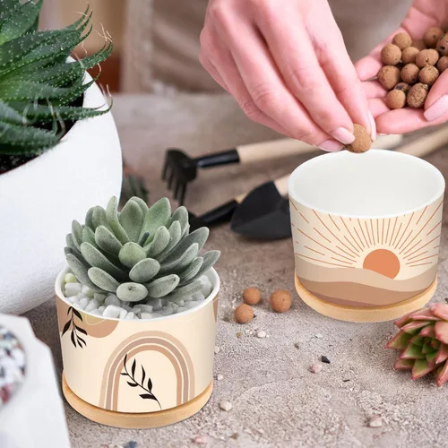 Vista 4 de Qinyoung 6 juegos de macetas Boho para suculentas, modernas macetas de cerámica con bandeja de bambú para plantas de interior, Aloe, Cactus