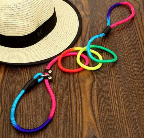 Vista 3 de yueton Correa de nailon para perros Rainbow Pet Cuerda de plomo ajustable