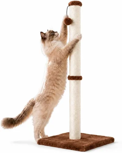 Vista 12 de Dimaka - Poste rascador para gatos de 34 pulgadas de alto, con cuerda de sisal y cubierto con suave felpa suave, rascador vertical