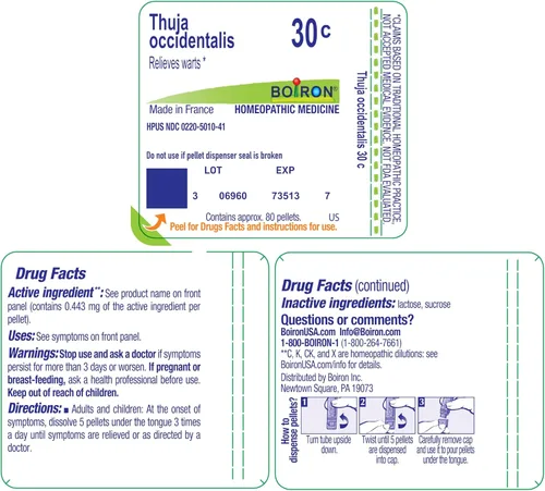 Vista 9 de Tubo de 80 comprimidos homeopáticos 6C de Thuja Occidentalis, de Boiron, 306960735137, 1, 1, 1 Gránulos homeopáticos de un solo medicamento