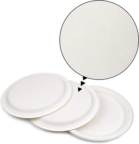 Vista 2 de Green Earth - Plato de papel de 9.0 in sin bagazo natural (fibra de caña de azúcar), biodegradable, compostable (500 platos desechables)