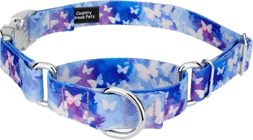 Vista 7 de Country Brook Petz - Collar de perro Martingala de dinosaurios con hebilla premium - Colección Critter Corner con 6 diseños temáticos de criaturas