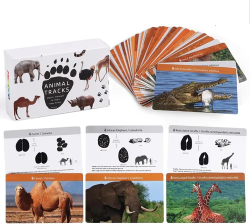 Vista 11 de MEROCO Juego de cartas de pistas de animales de safari, juegos de animales de granja, juego de pistas de animales, juguetes educativos