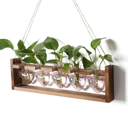 Vista 9 de Estaciones de propagación colgantes de terrario para plantas, regalo para mujeres, soporte para plantas de aire con soporte de madera, cristal