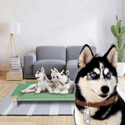 Vista 5 de Acrimet Cama elevada para perros y mascotas, cuna de malla lavable y transpirable, marco de acero inoxidable, uso en interiores y exteriores, se