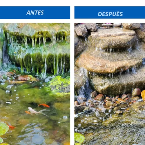 Vista 2 de CrystalClear Algae D-Solv - Alguicida de acción rápida registrado por la EPA, control de algas para fuentes y estanques al aire libre con koi