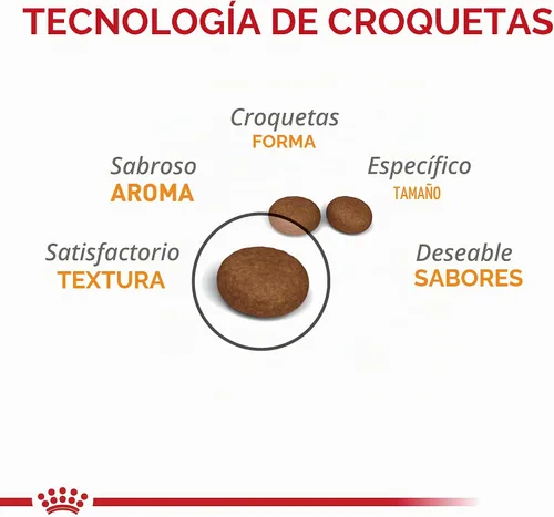 Vista 3 de Royal Canin Cuidado del cabello y la piel Alimento seco para gatos, bolsa de 3.5 libras Diseñado para pieles sensibles, abrigo brillante