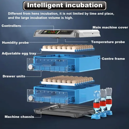 Vista 12 de Incubadora de huevos, incubadora de huevos, 128-500 huevos de gallina, incubadora de pollo completamente automática con girador automático