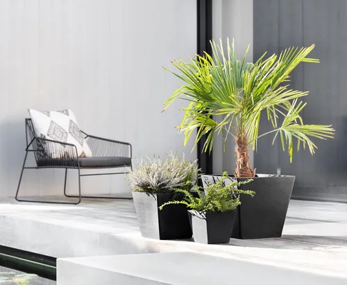 Vista 3 de Ecopots Rotterdam - Maceta cuadrada para flores, color gris oscuro, 8 pulgadas