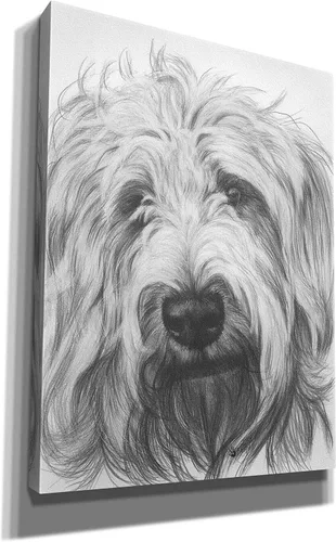 Vista 2 de Epic Graffiti 'Labradootle' de Barbara Keith, arte de pared en lienzo, 12 x 16 pulgadas