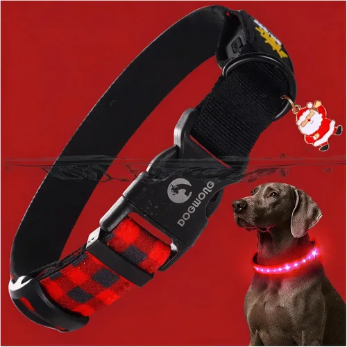 Vista 10 de DOGWONG Collar de perro con luz LED para Halloween, recargable e impermeable, collares de perro iluminados para otoño para caminar por la noche