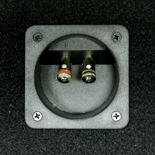 Vista 3 de Bass Rockers Caja de caja de altavoz de 2x2 de 10"/4" con terminal de resorte (acabado de alfombra)