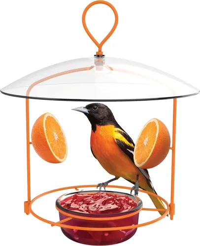 Vista 13 de Nature's Way OFP1 Comedero Todo en Uno para Orioles, Naranja