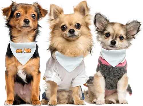Vista 5 de 4 unidades de collar triangular blanco para perro, bandana para perro con hebilla ajustable sublimación en blanco, bandanas para perros y gatos, S