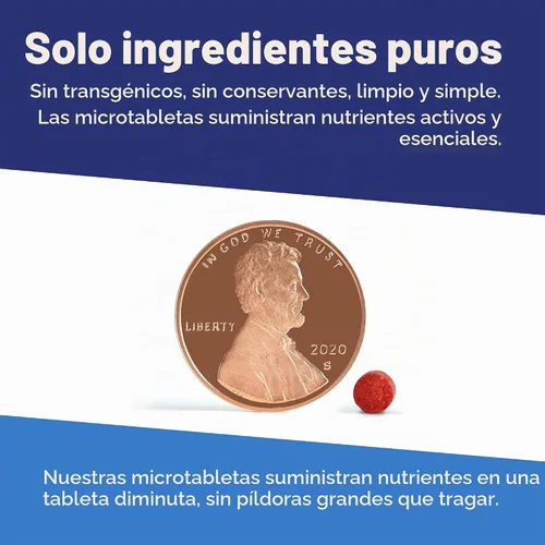 Vista 5 de Superior Source No Shot Vitamina B12 Cianocobalamina 1000 mcg, B6, ácido fólico, vitamina D 1000 UI, tabletas microlingües de disolución rápida, 100