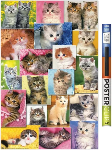 Vista 17 de Trends International Keith Kimberlin - Póster de pared de collage de gatitos, 14.725 x 22.375 pulgadas, versión enmarcada de madera de granero