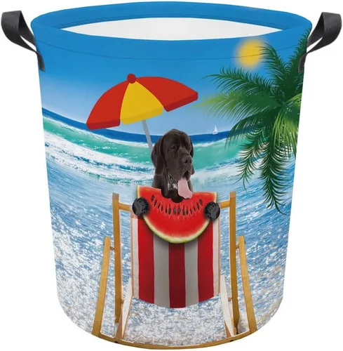 Vista 13 de Cesta plegable con estampado de perro, lindo Cavalier King Charles Spaniel Sandía con asa, caja de juguetes, bolsa de almacenamiento