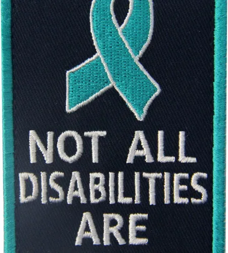 Vista 2 de Not All Disabilities are Visible Chalecos/Arneses Service Perro Emblema Bordado Sujetador Gancho y Bucle Parche