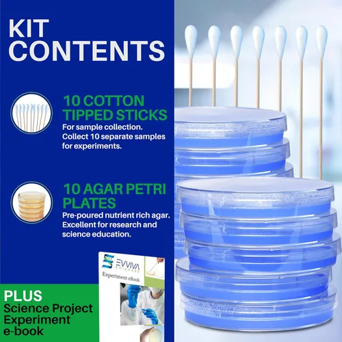 Vista 4 de Evviva Sciences - Kit de proyectos científicos de agar de nutrientes Petri, placas de agar previamente vertidas para experimentos científicos