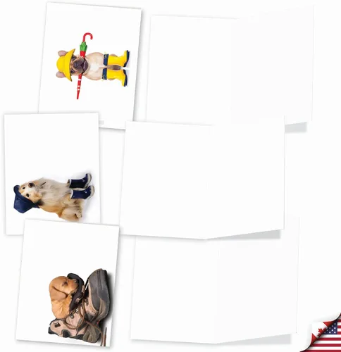 Vista 3 de The Best Card Company - 10 tarjetas de perro en blanco surtidas (4 x 5.12 pulgadas) - Adorables tarjetas de notas de animales en caja para todas