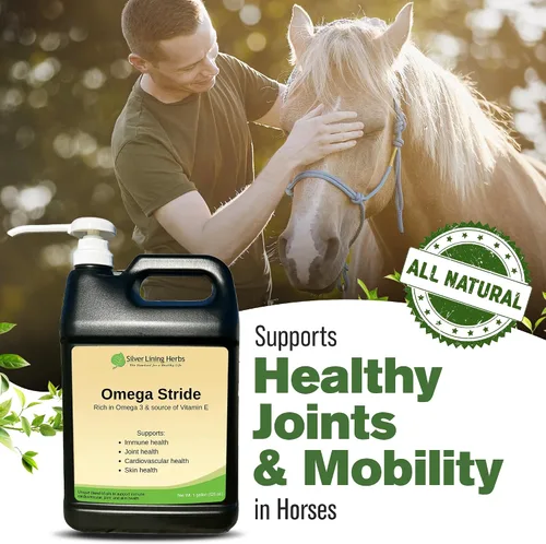 Vista 8 de Silver Lining Herbs Aceite de semilla de cáñamo Omega Stride para caballos