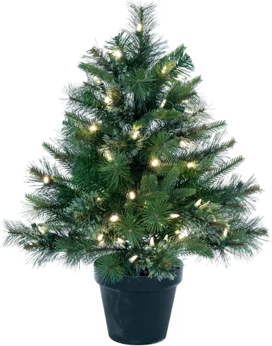 Vista 13 de Vickerman árbol de navidad artificial de pino de cachemira sin iluminación de 24 pulgadas Verde