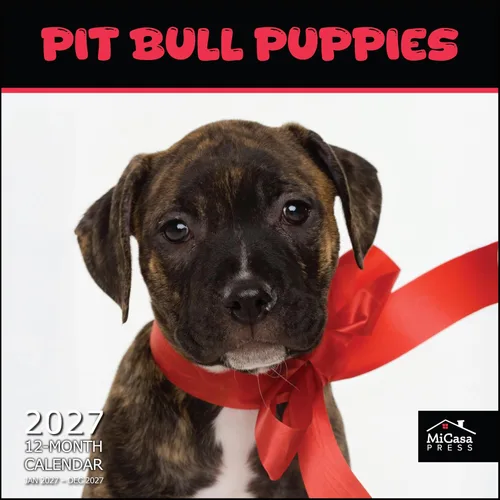 Vista 78 de MICASA PRESS Calendario de pared de Australian Shepherds Aussies 2027 02 - Pastores australianos