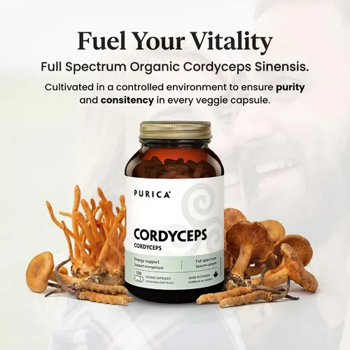 Vista 3 de PURICA Cordyceps - Suplementos de hongos, 120 cápsulas veganas, suministro de 30 días, apoya la energía, vitalidad, bienestar respiratorio, cuidado