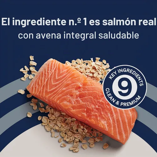 Vista 4 de CANIDAE Pure Puppy - Comida seca para perros, receta de salmón y avena, con galletas de salmón y batata