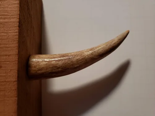 Vista 7 de Ganchos de pared con punta de asta real, atornillados en madera o paneles de yeso, paquete de 3