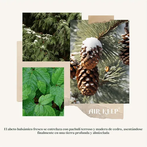 Vista 2 de Airkeep Juego de difusor de junco, 3.38 onzas líquidas (100 ml), difusor de aceite de bálsamo y abeto con 8 varillas de caña, difusor de fragancia