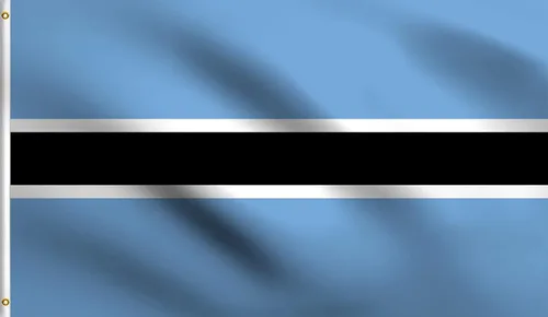 Vista 167 de DMSE - Bandera nacional beninesa beninesa de la República de África Occidental, 2 x 3 pies, 100 % poliéster, 100 % poliéster, resistente a los rayos