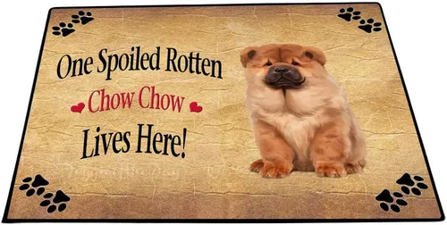 Vista 14 de Doggie of the Day Chow Chow Dogs Floor Mat - 4th of July Independence Day - Best Dog Doormat - Protector Decor - Unique Portrait Art - Premium