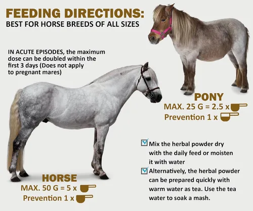 Vista 5 de V-POINT - Laminitis Ease - Suplementos de pezuñas para caballos - Producto para el cuidado de pezuñas de caballo a base de polvo natural - Ideal