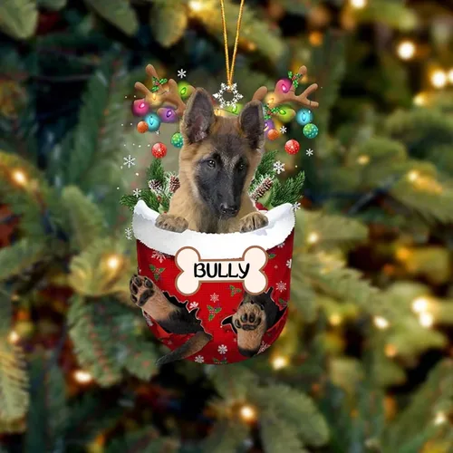 Vista 147 de IZI POD Affenpinscher Adorno de Navidad personalizado para perro, adorno de bolsillo de nieve para perro para árbol de Navidad, adorno acrílico